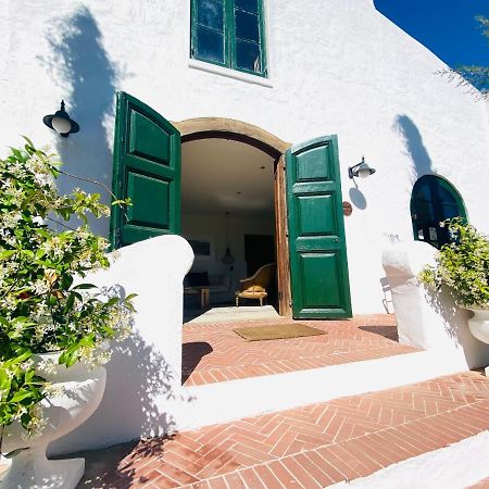 فندق فرانستشوكفي  Vineyard Retreat المظهر الخارجي الصورة